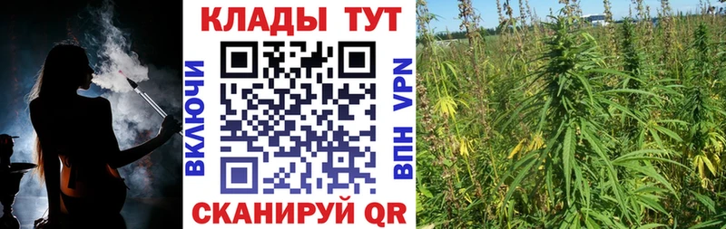 Сколько стоит Краснознаменск АМФ  Меф мяу мяу  Псилоцибиновые грибы  Гашиш 