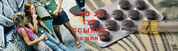 эйфоретик Алзамай
