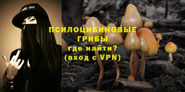 эйфоретик Алзамай