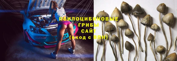 эйфоретик Алзамай