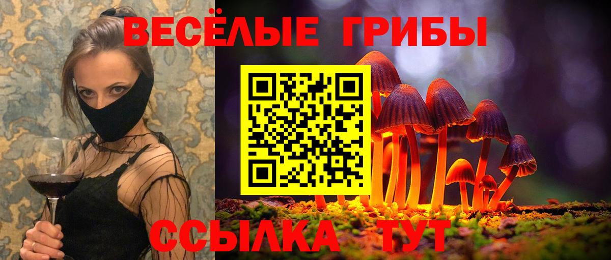 Галлюциногенные грибы ЛСД Краснознаменск